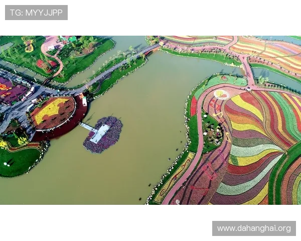 如何安全快速下载安装斗球体育新版本，提供完整操作指南与注意事项