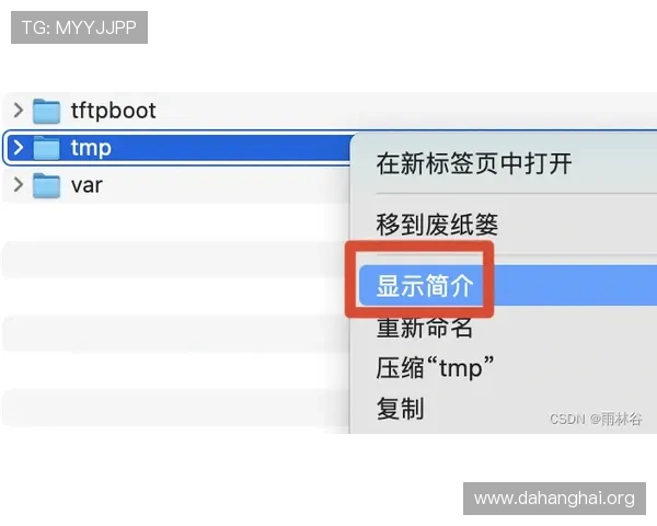 斗球怎么下载不了怎么办?常见问题排查与快速修复方法详解