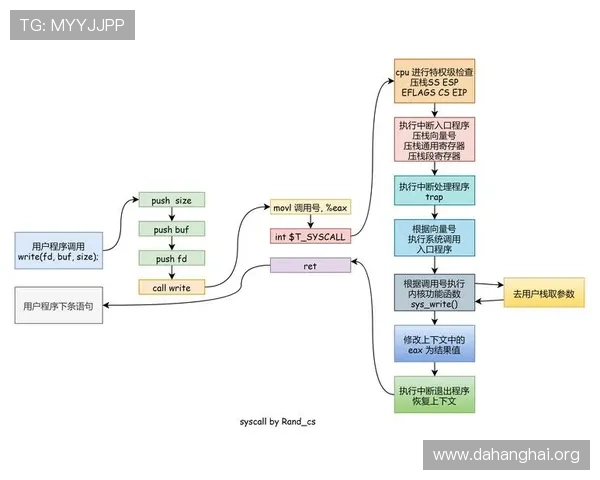 斗球直播网页版在哪里可以找到官方提供的安全稳定的观看入口地址