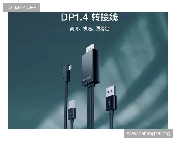 最新斗球官网电脑版下载指南，详细步骤帮助你快速安装畅享游戏乐趣